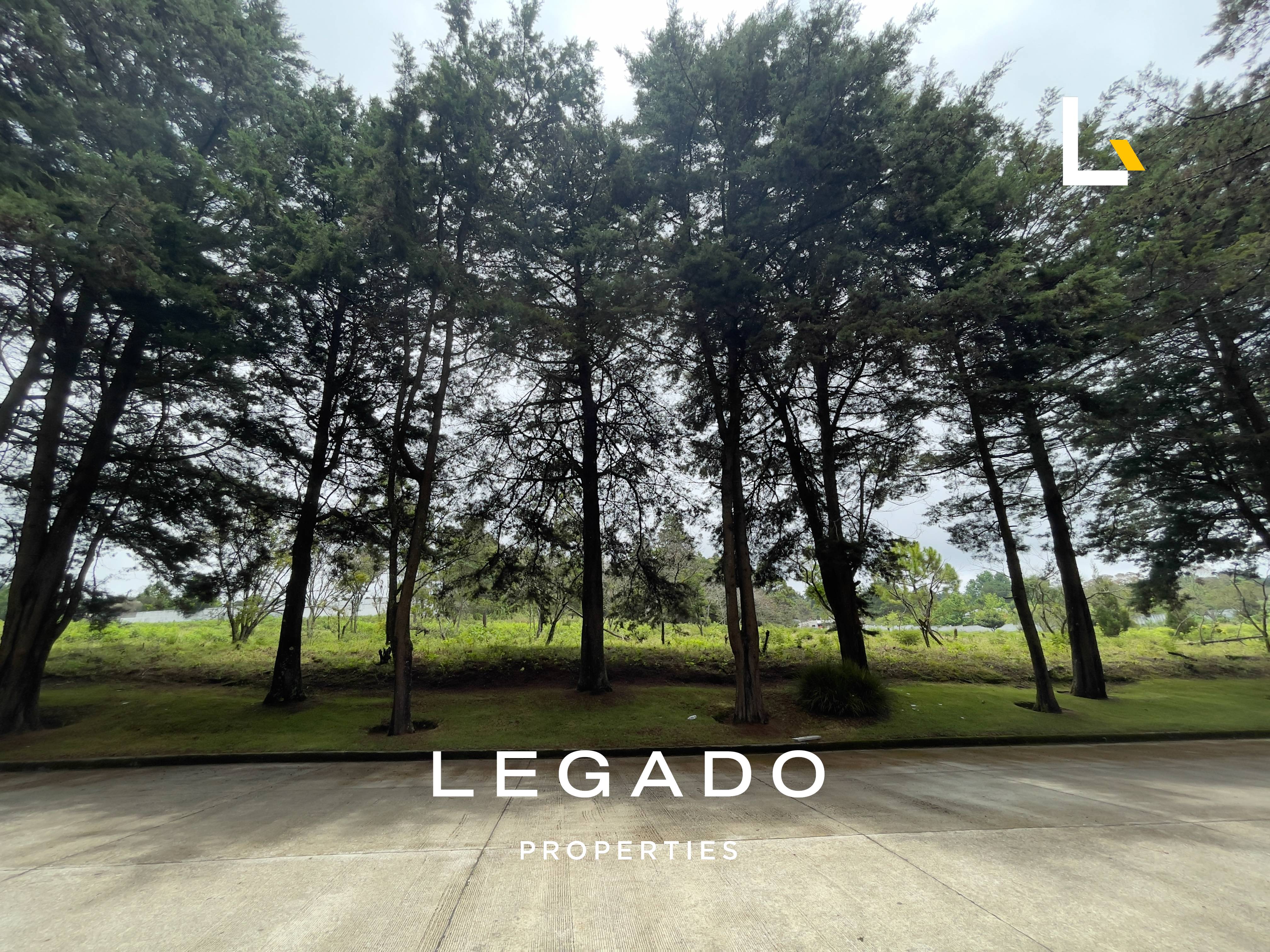 TERRENO KM. 22.5 CAES, COND. PREMIER CAMPESTRE