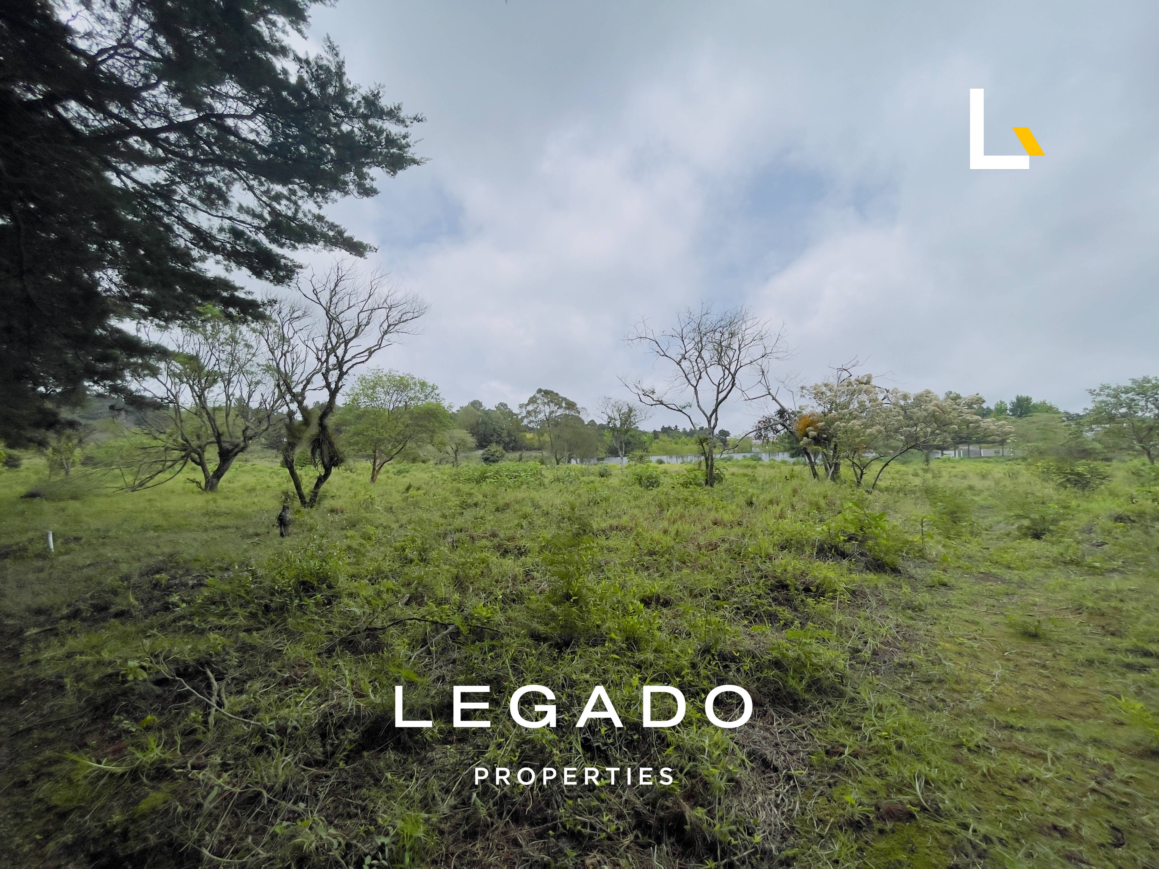TERRENO KM. 22.5 CAES, COND. PREMIER CAMPESTRE