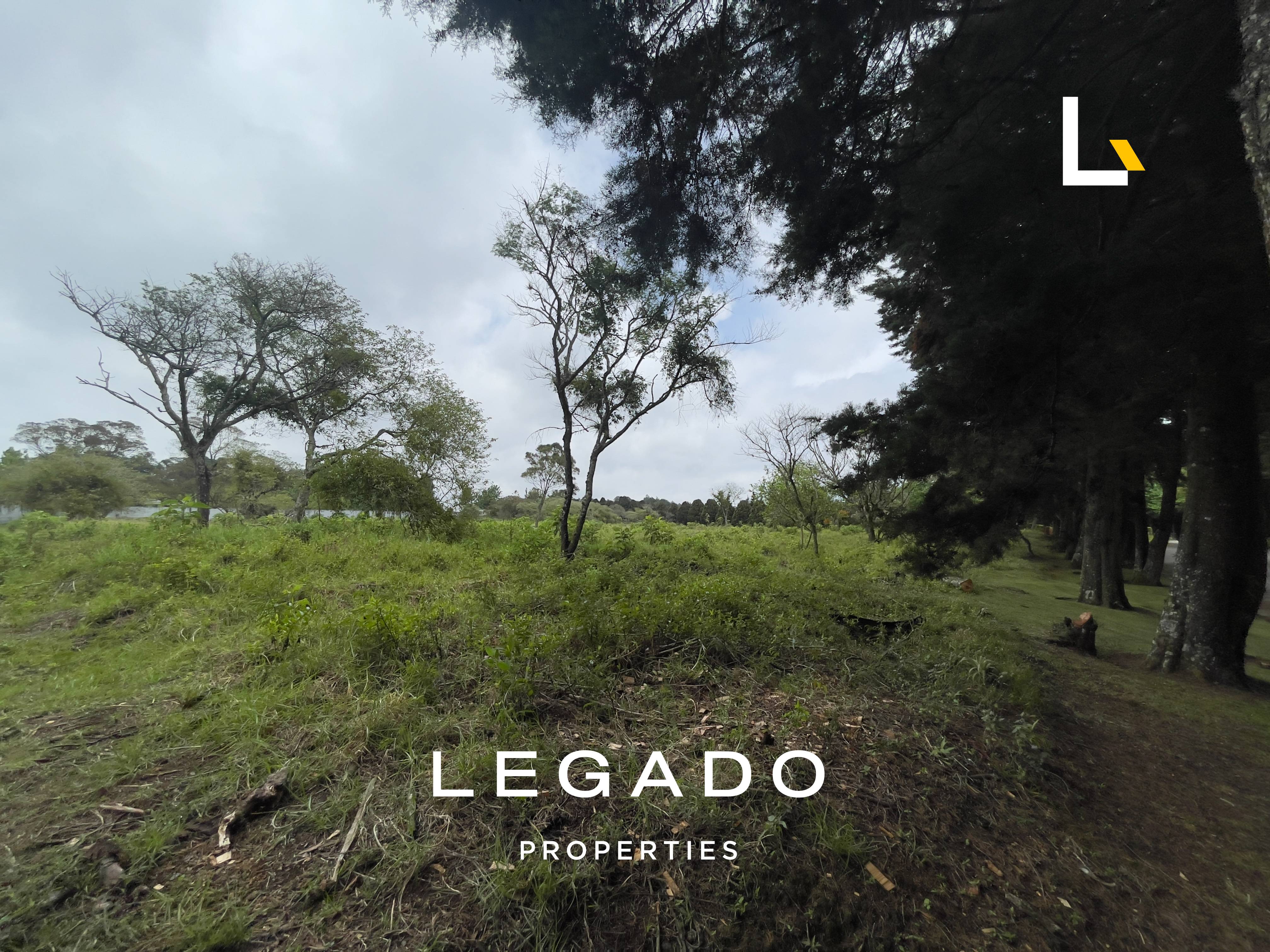TERRENO KM. 22.5 CAES, COND. PREMIER CAMPESTRE