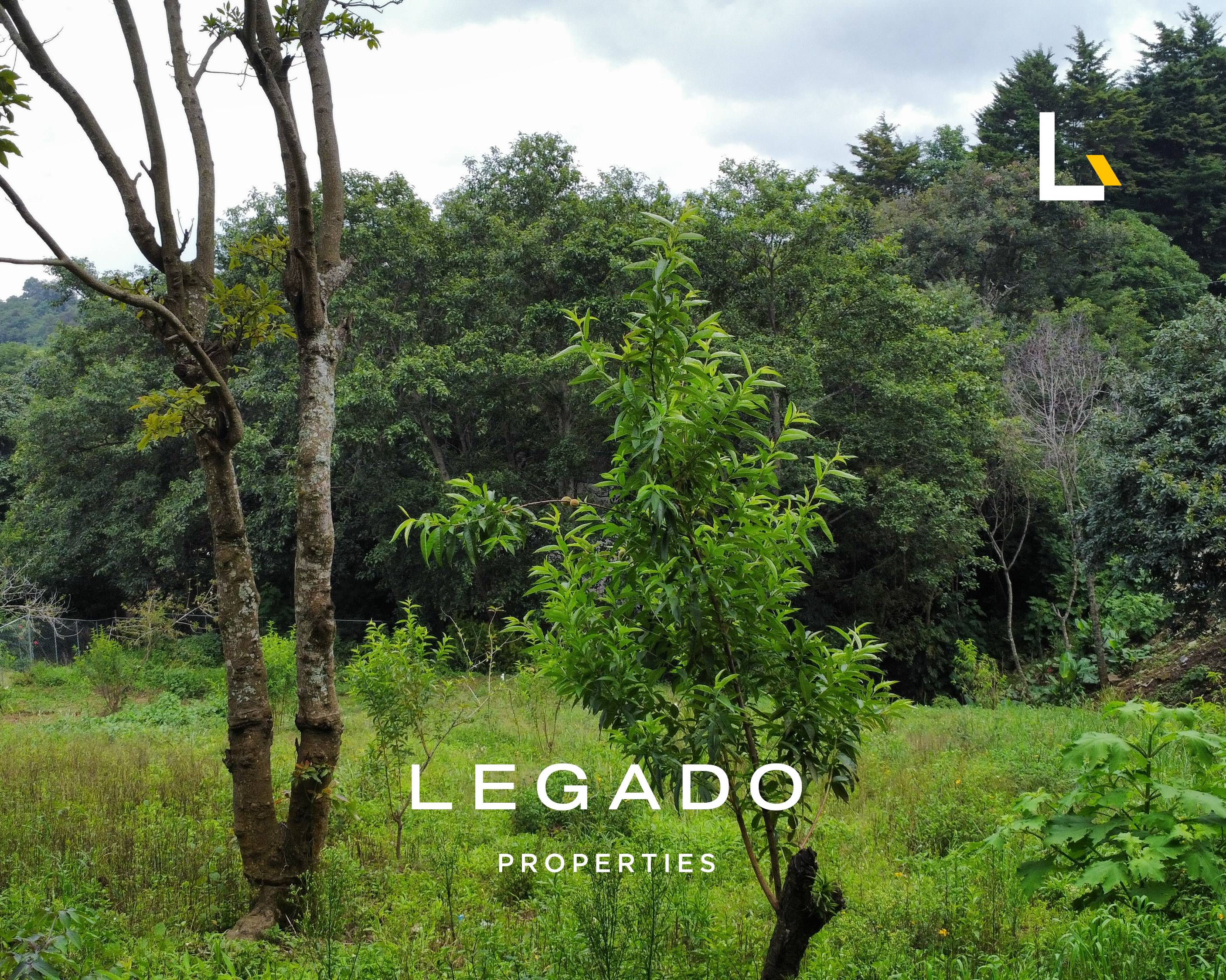 TERRENO, KM 36 ALDEA EL HATO, ANTIGUA GUATEMALA