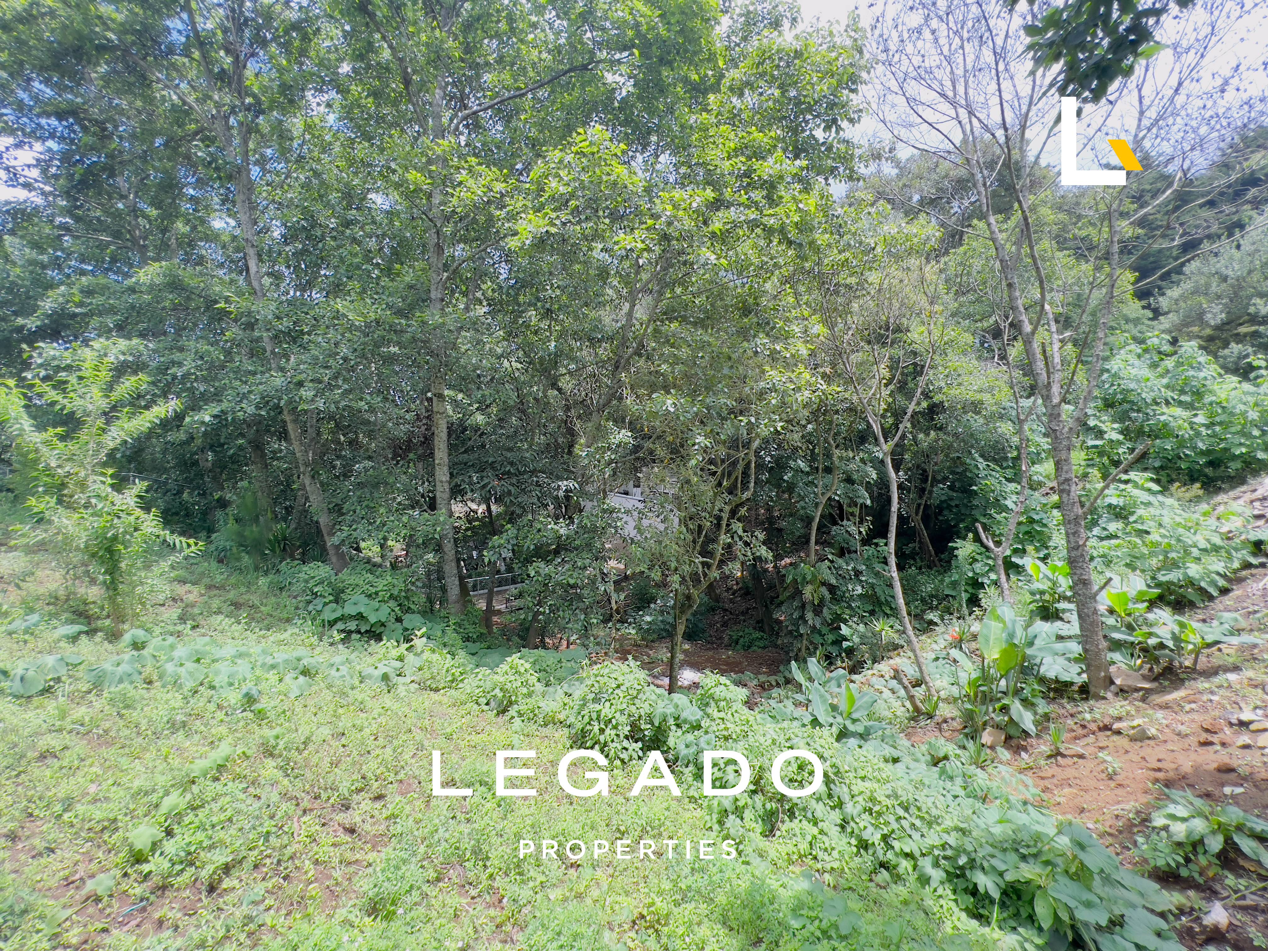 TERRENO, KM 36 ALDEA EL HATO, ANTIGUA GUATEMALA
