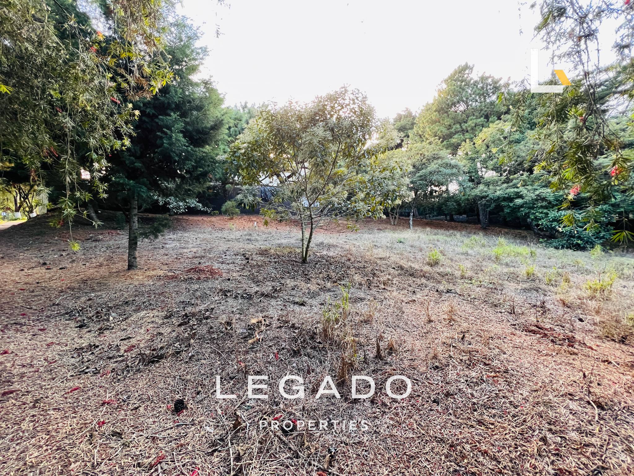 TERRENO, Z.10, LAS TINAJAS,