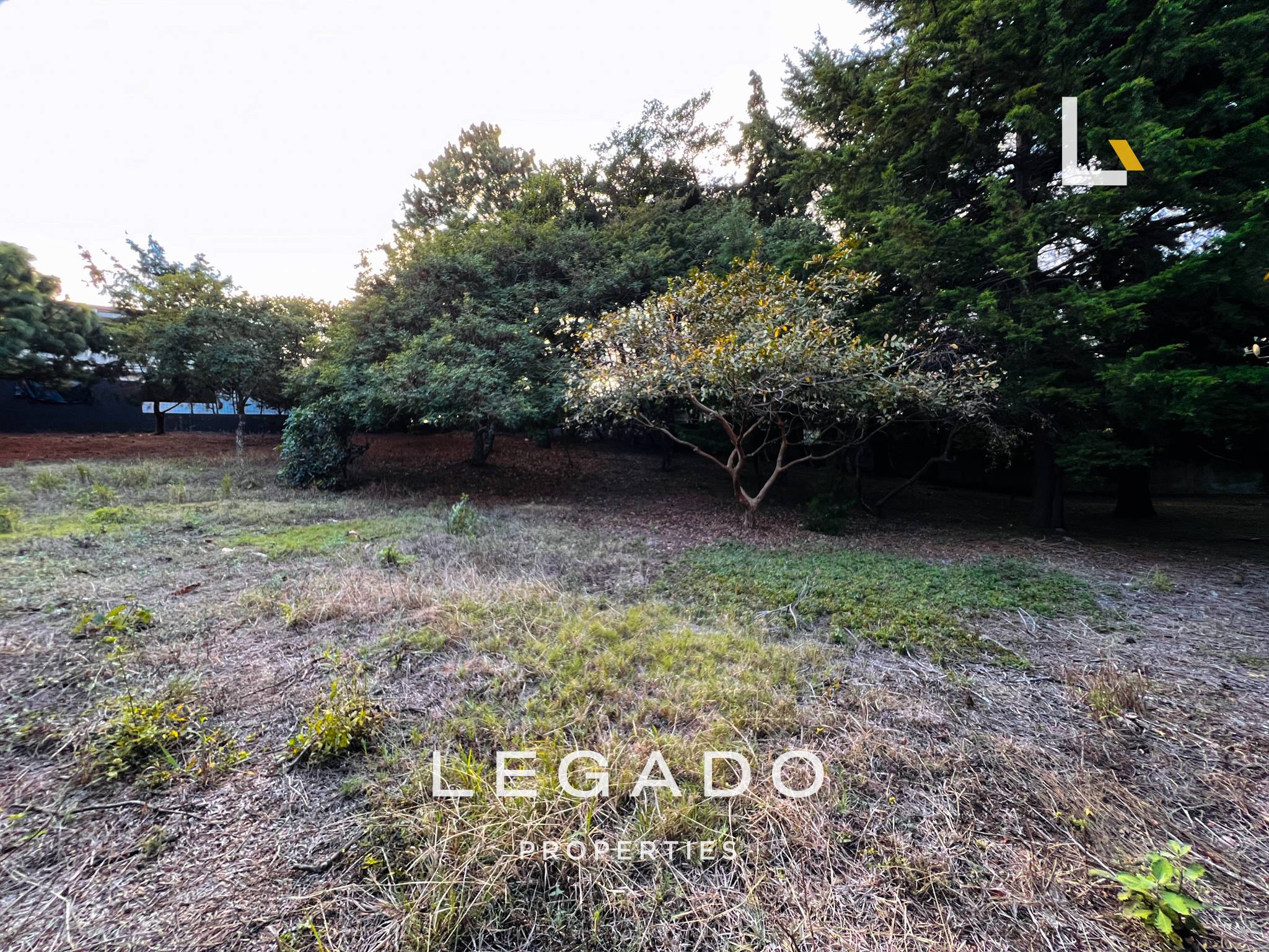 TERRENO, Z.10, LAS TINAJAS,