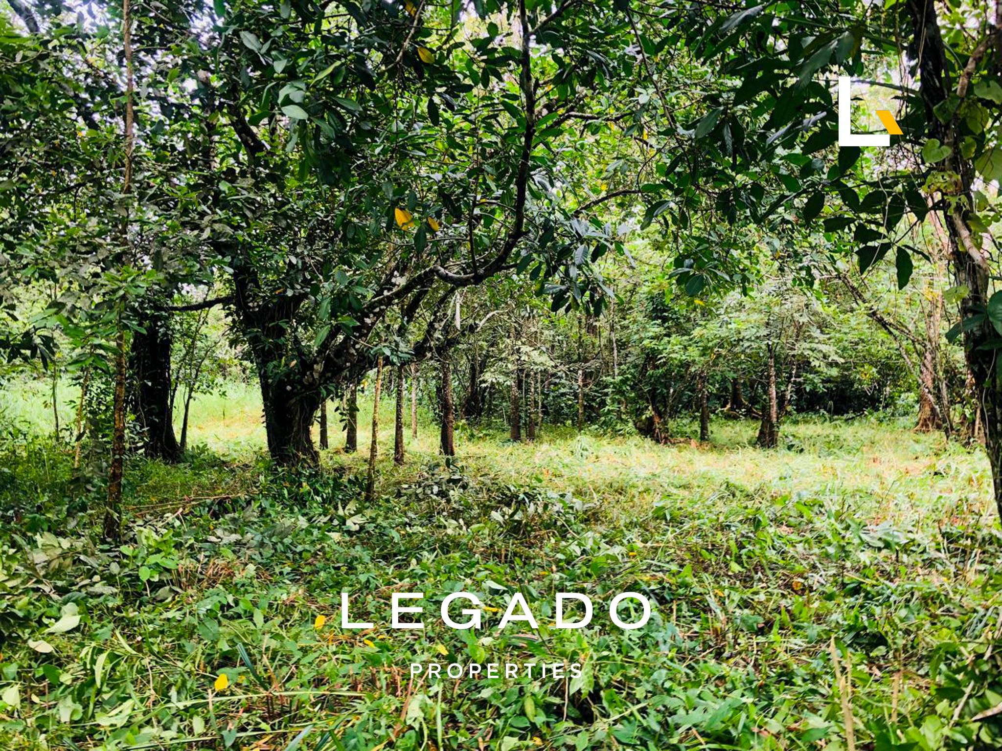 TERRENO, IZABAL RÍO DULCE
