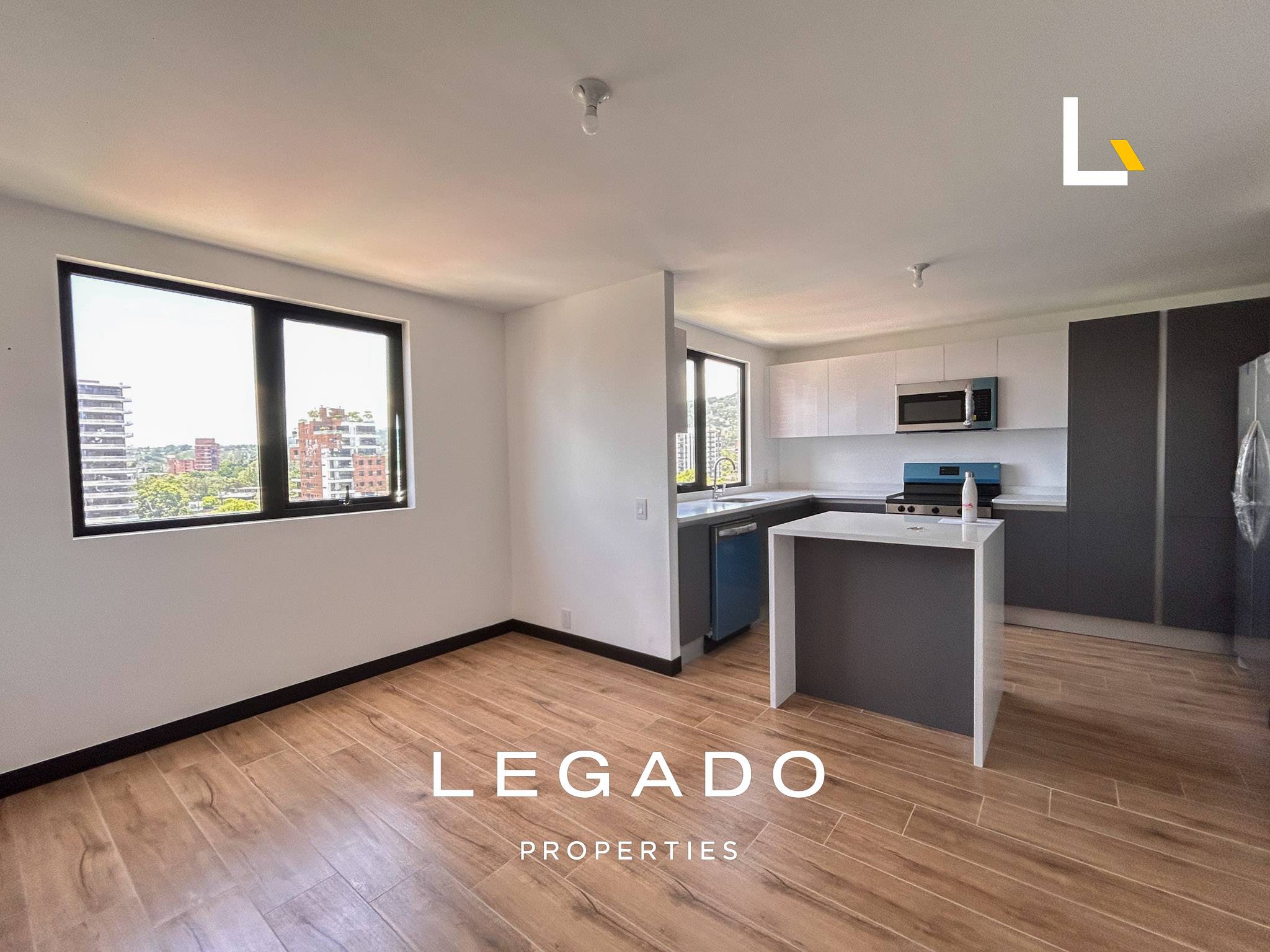 APARTAMENTO, ZONA 15, EDIFICIO ALENA