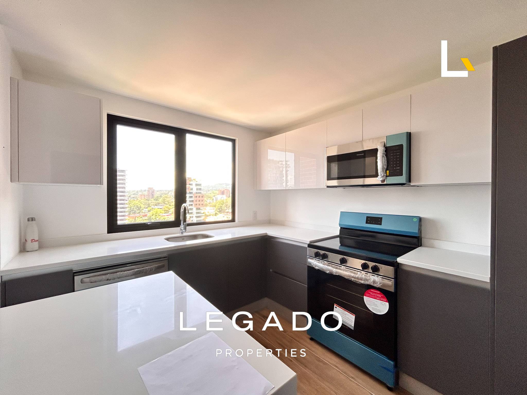 APARTAMENTO, ZONA 15, EDIFICIO ALENA