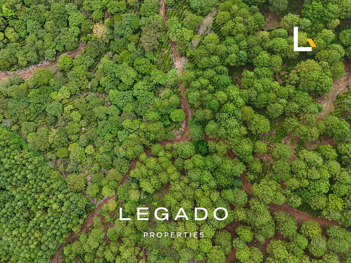 TERRENO, CONGUACO JUTIAPA
