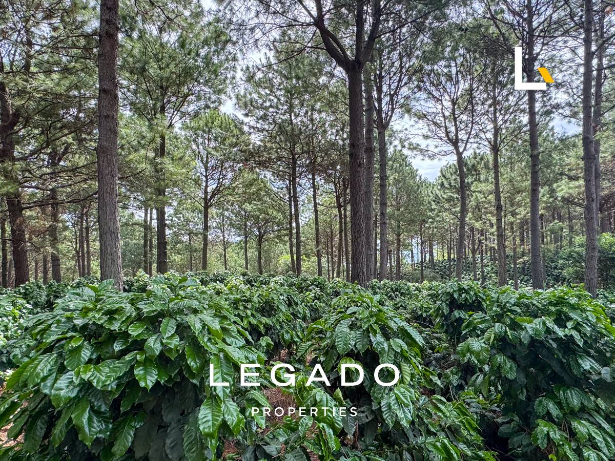 TERRENO, CONGUACO JUTIAPA