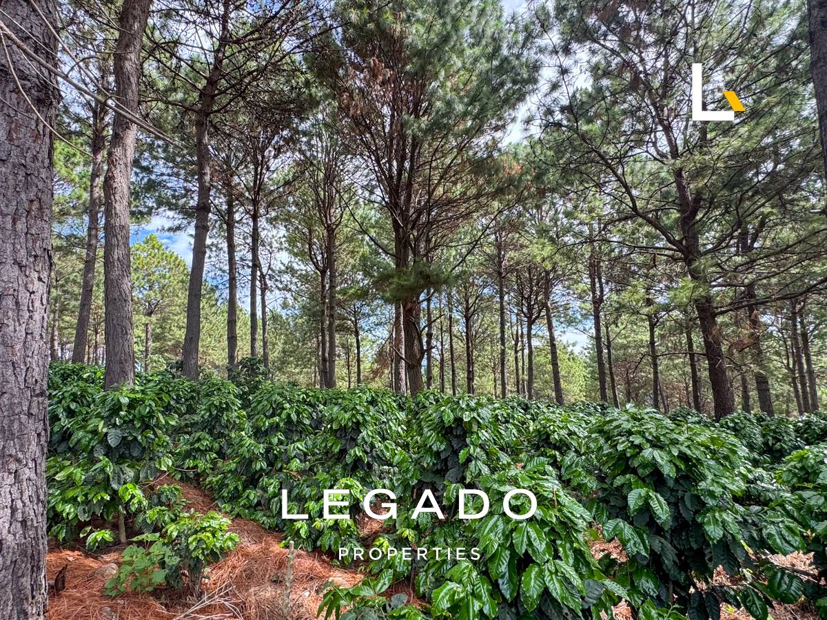 TERRENO, CONGUACO JUTIAPA
