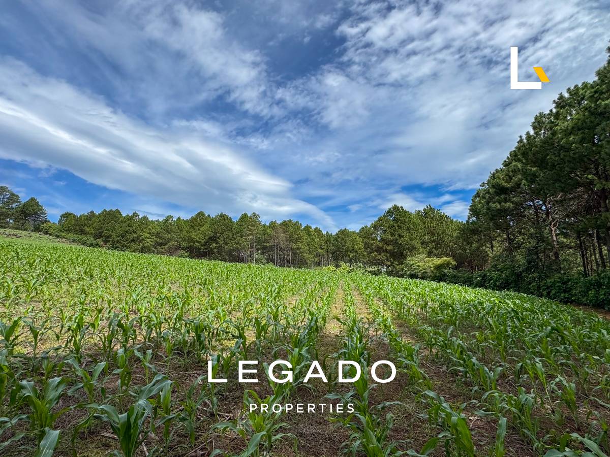TERRENO, CONGUACO JUTIAPA