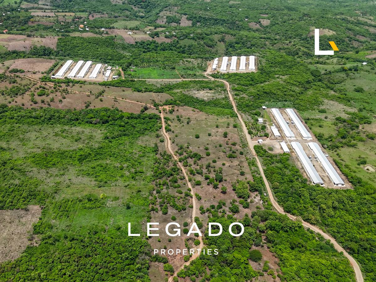 TERRENO PLANO, MOYUTA, JUTIAPA