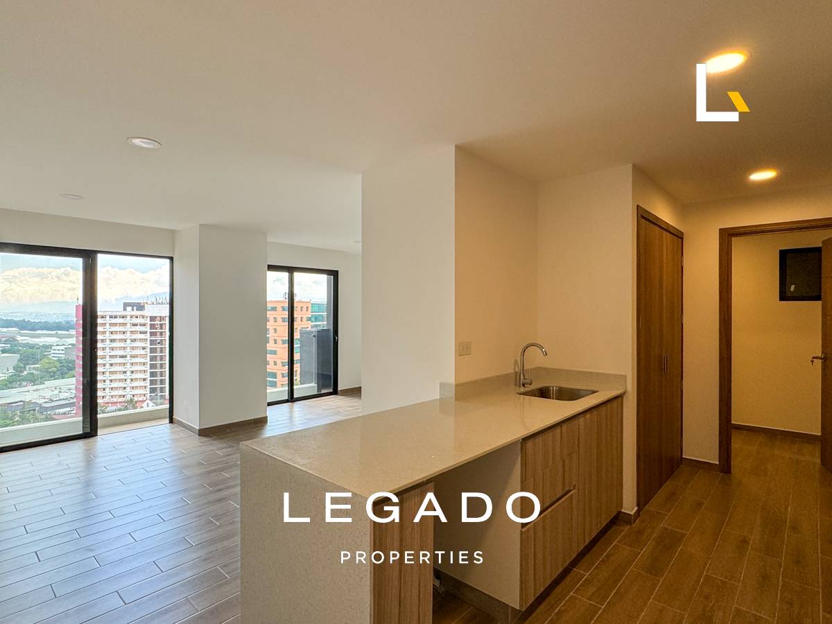 APARTAMENTO ZONA 14, EDIFICIO PARQUE 14