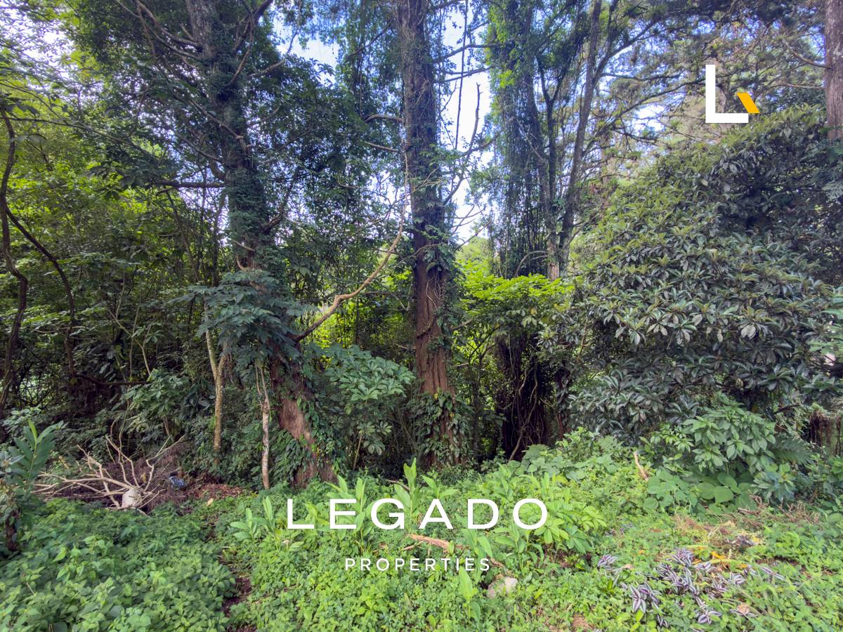 TERRENO CAES KM 12.5, CONDOMINIO SANTA ROSALÍA