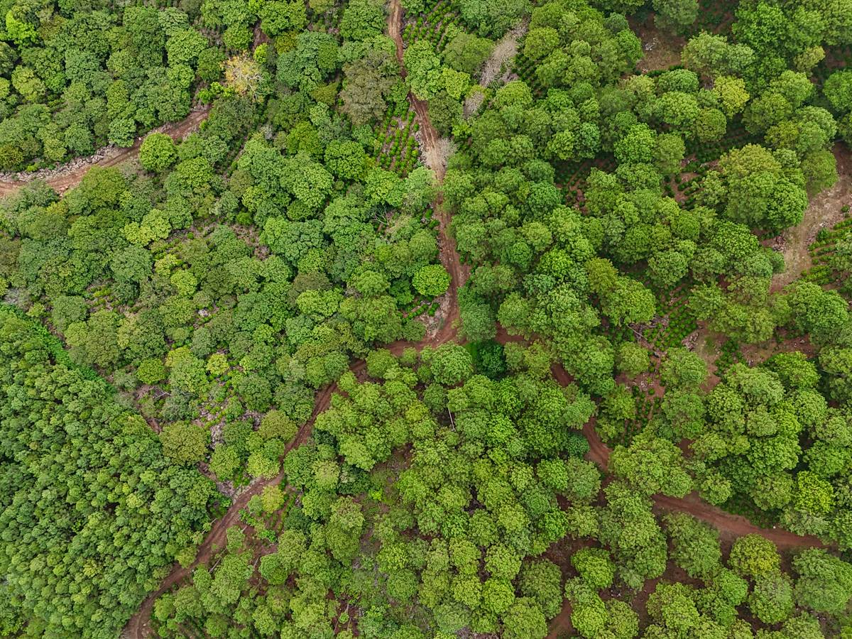 TERRENO, CONGUACO JUTIAPA