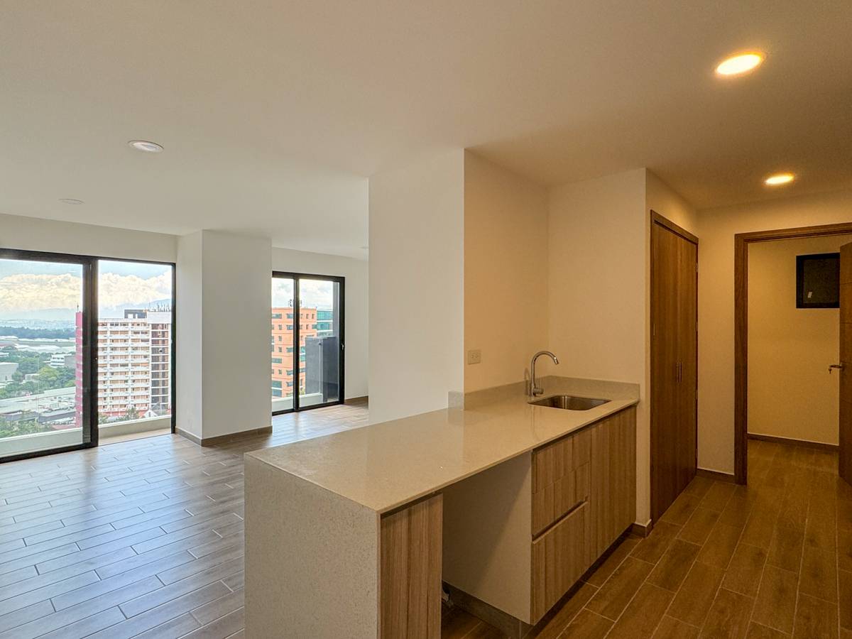 APARTAMENTO ZONA 14, EDIFICIO PARQUE 14