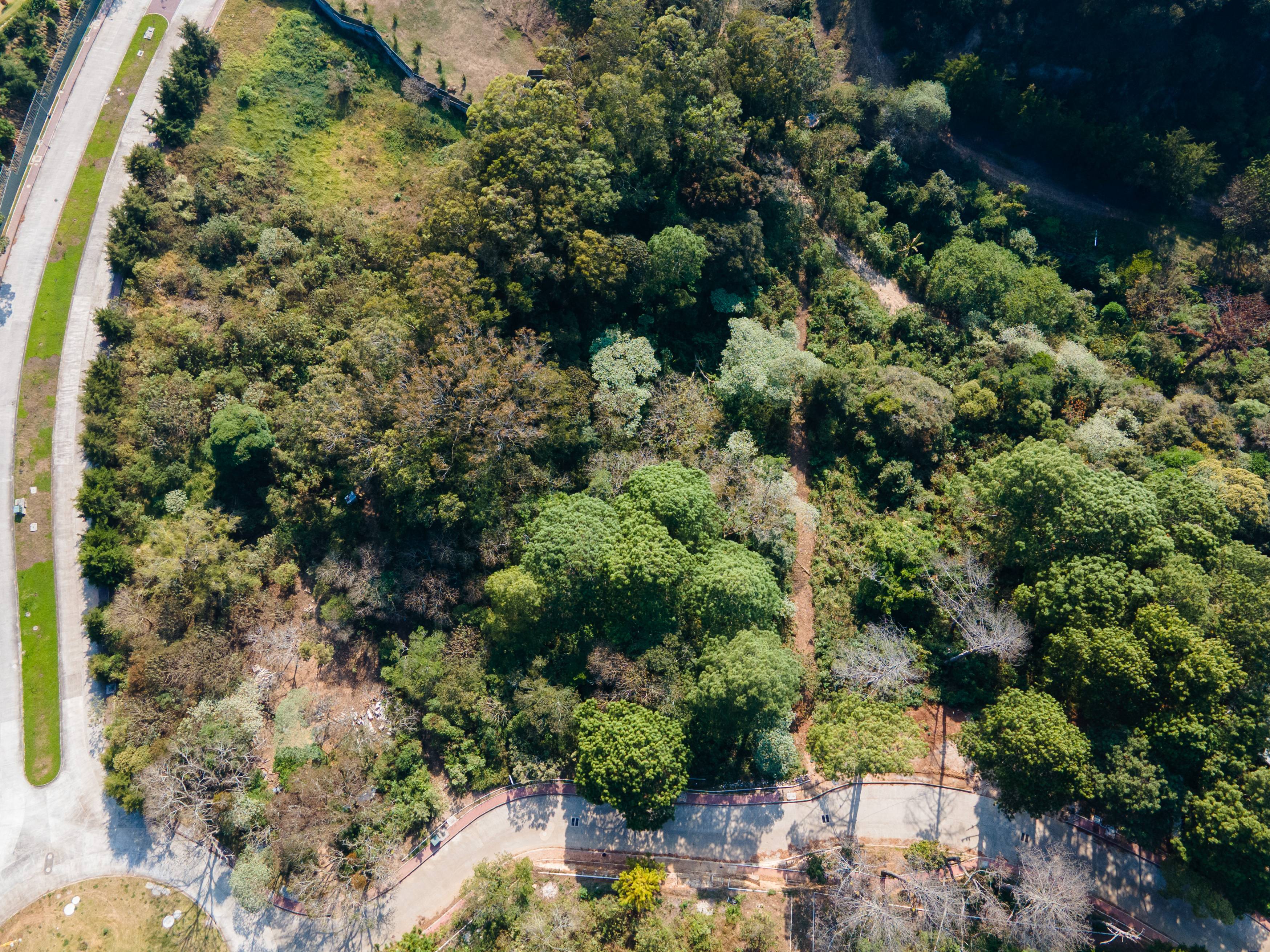 TERRENO, SAN MIGUEL BUENA VISTA